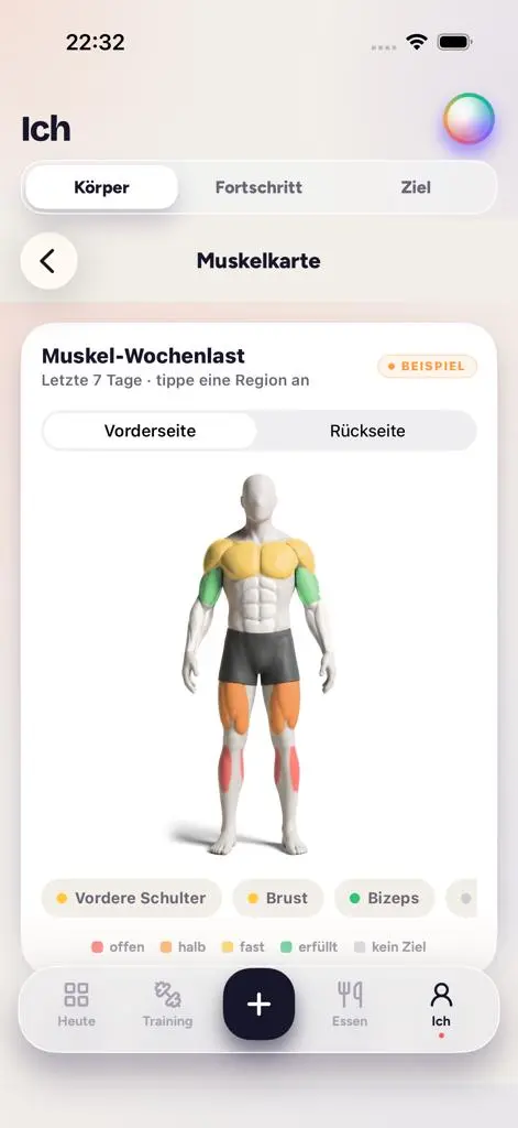Muskelkarte der Fitness-App: Körper von vorn, Muskelgruppen nach Wochenlast eingefärbt, Beispieldaten